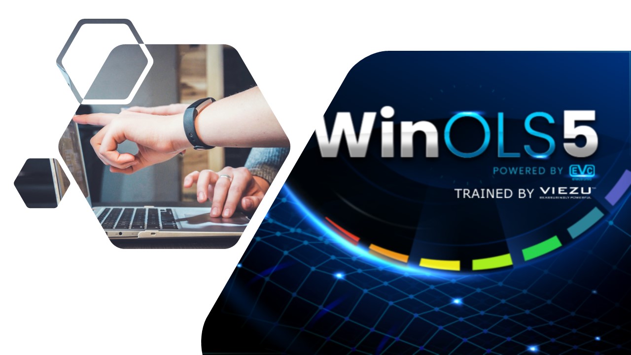 EVC WinOLS Training VIEZU Technical Academy
